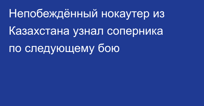 Непобеждённый нокаутер из Казахстана узнал соперника по следующему бою