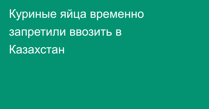 Куриные яйца временно запретили ввозить в Казахстан