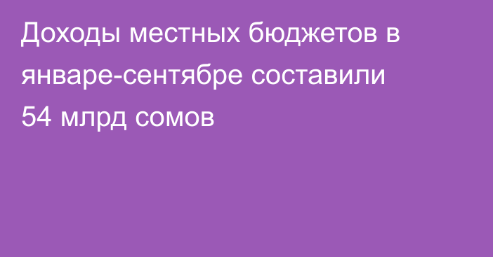Доходы местных бюджетов в январе-сентябре составили 54 млрд сомов