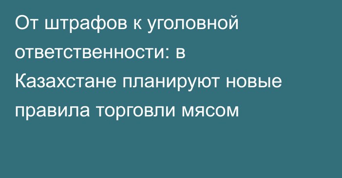 От штрафов к уголовной ответственности: в Казахстане планируют новые правила торговли мясом