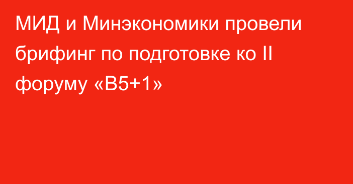 МИД и Минэкономики провели брифинг по подготовке ко II форуму «В5+1»
