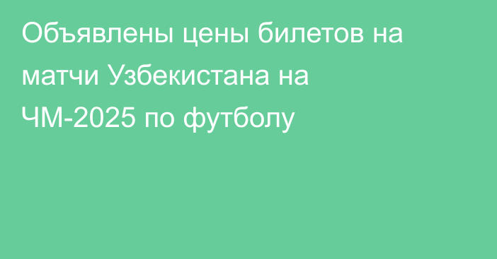 Объявлены цены билетов на матчи Узбекистана на ЧМ-2025 по футболу
