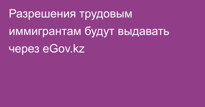 Разрешения трудовым иммигрантам будут выдавать через eGov.kz