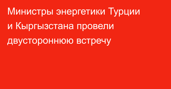 Министры энергетики Турции и Кыргызстана провели двустороннюю встречу
