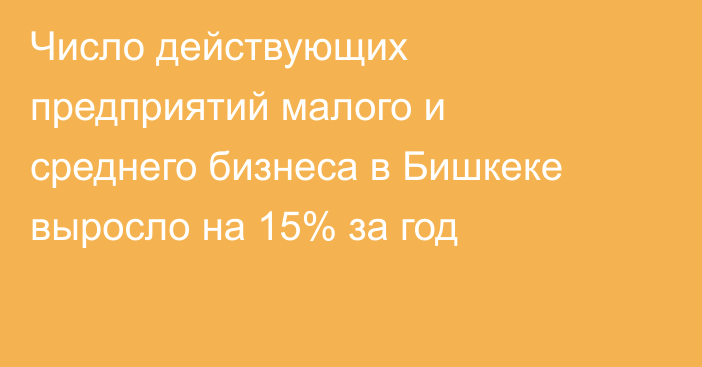 Число действующих предприятий малого и среднего бизнеса в Бишкеке выросло на 15% за год