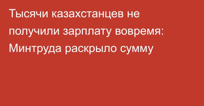Тысячи казахстанцев не получили зарплату вовремя: Минтруда раскрыло сумму