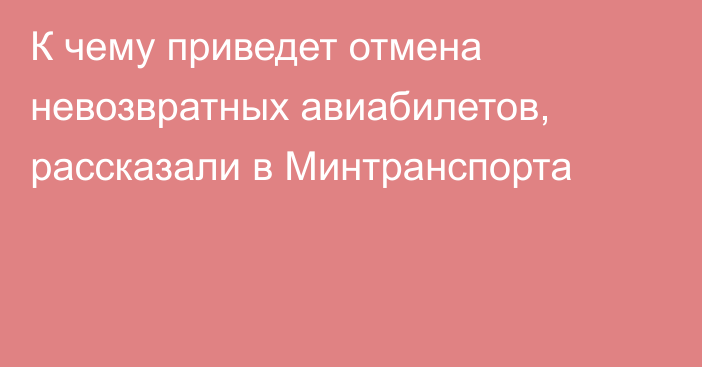 К чему приведет отмена невозвратных авиабилетов, рассказали в Минтранспорта