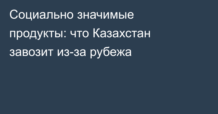 Социально значимые продукты: что Казахстан завозит из-за рубежа