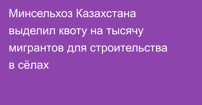Минсельхоз Казахстана выделил квоту на тысячу мигрантов для строительства в сёлах