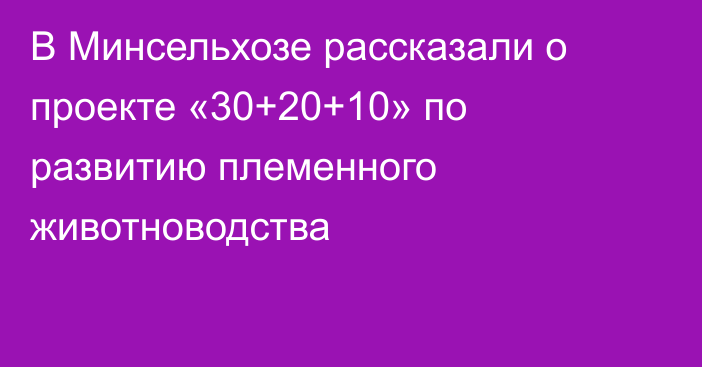 В Минсельхозе рассказали о проекте «30+20+10» по развитию племенного животноводства