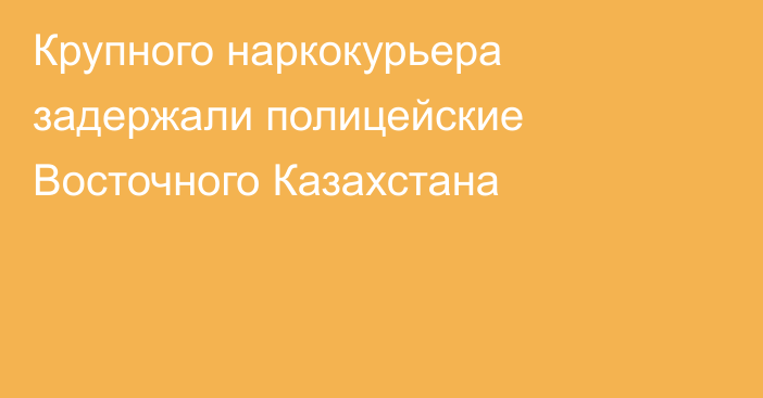 Крупного наркокурьера задержали полицейские Восточного Казахстана