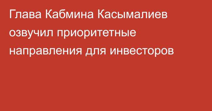 Глава Кабмина Касымалиев озвучил приоритетные направления для инвесторов 
