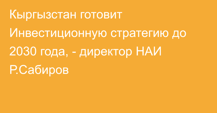 Кыргызстан готовит Инвестиционную стратегию до 2030 года, - директор НАИ Р.Сабиров