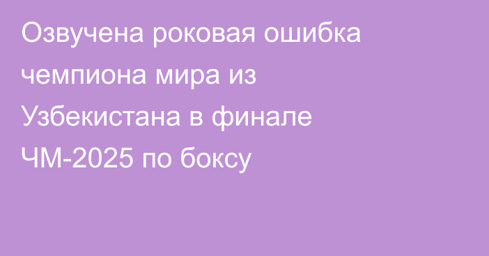 Озвучена роковая ошибка чемпиона мира из Узбекистана в финале ЧМ-2025 по боксу