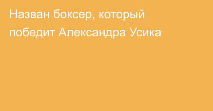Назван боксер, который победит Александра Усика