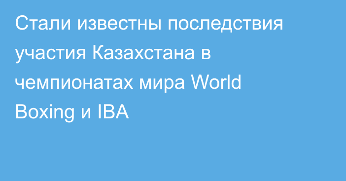 Стали известны последствия участия Казахстана в чемпионатах мира World Boxing и IBA