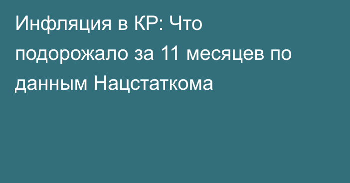 Инфляция в КР: Что подорожало за 11 месяцев по данным Нацстаткома