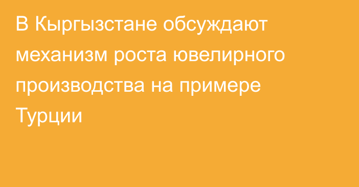 В Кыргызстане обсуждают механизм роста ювелирного производства на примере Турции