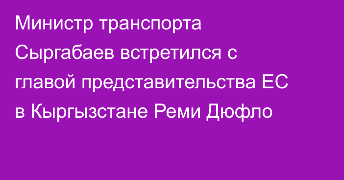 Министр транспорта Сыргабаев встретился с главой представительства ЕС в Кыргызстане Реми Дюфло