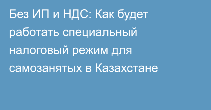 Без ИП и НДС: Как будет работать специальный налоговый режим для самозанятых в Казахстане