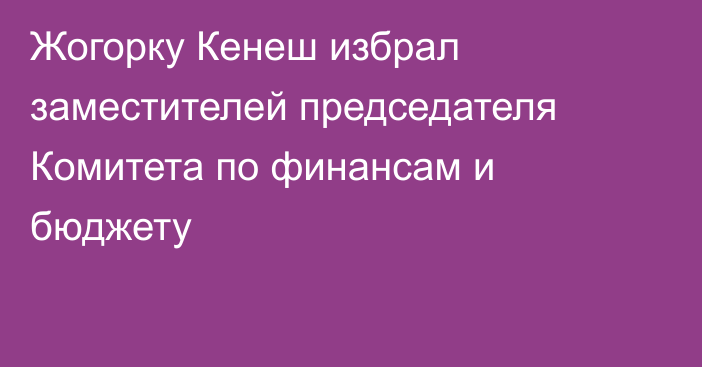 Жогорку Кенеш избрал заместителей председателя Комитета по финансам и бюджету
