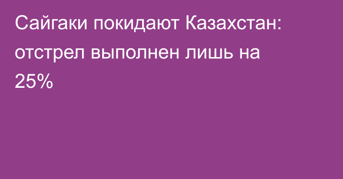 Сайгаки покидают Казахстан: отстрел выполнен лишь на 25%
