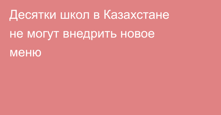 Десятки школ в Казахстане не могут внедрить новое меню