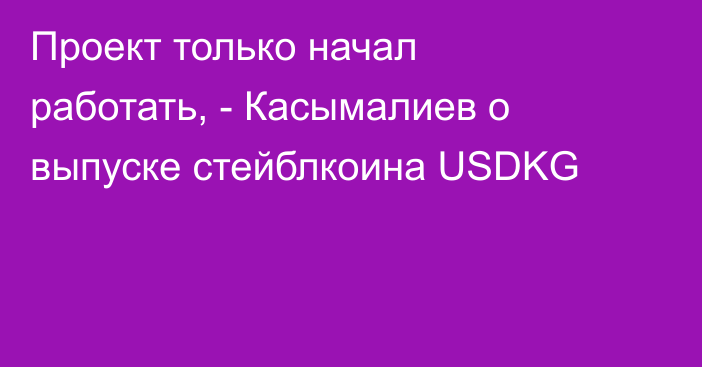 Проект только начал работать, - Касымалиев о выпуске стейблкоина USDKG