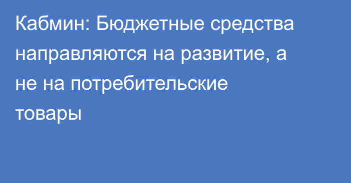 Кабмин: Бюджетные средства направляются на развитие, а не на потребительские товары