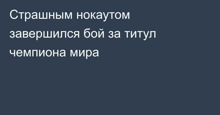 Страшным нокаутом завершился бой за титул чемпиона мира