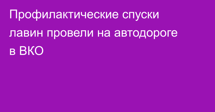 Профилактические спуски лавин провели на автодороге в ВКО
