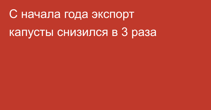 С начала года экспорт капусты снизился в 3 раза 