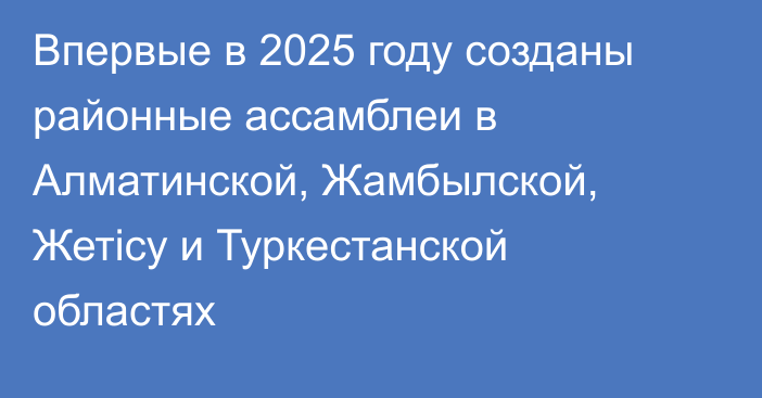 Впервые в 2025 году созданы районные ассамблеи в Алматинской, Жамбылской, Жетісу и Туркестанской областях