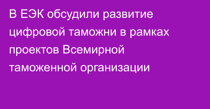 В ЕЭК обсудили развитие цифровой таможни в рамках проектов Всемирной таможенной организации