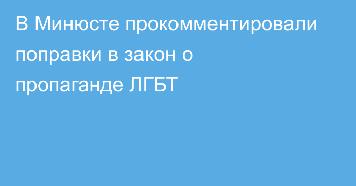 В Минюсте прокомментировали поправки в закон о пропаганде ЛГБТ