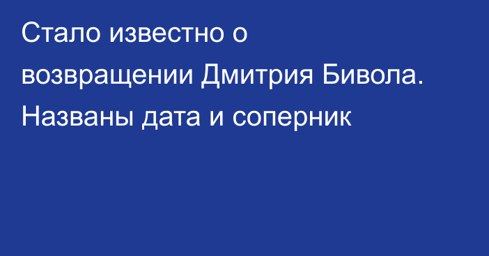 Стало известно о возвращении Дмитрия Бивола. Названы дата и соперник