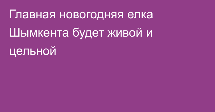 Главная новогодняя елка Шымкента будет живой и цельной
