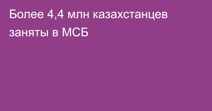 Более 4,4 млн казахстанцев заняты в МСБ
