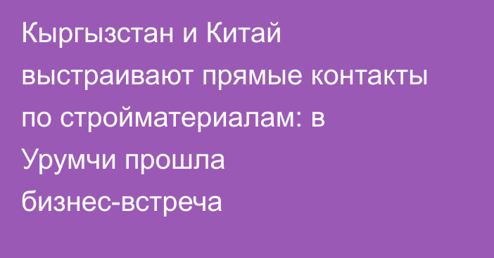 Кыргызстан и Китай выстраивают прямые контакты по стройматериалам: в Урумчи прошла бизнес-встреча