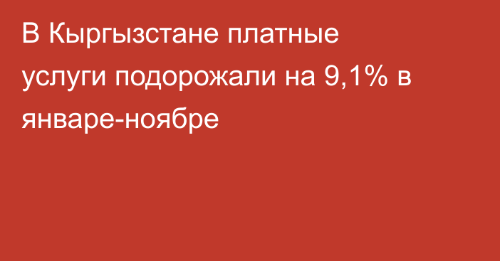В Кыргызстане платные услуги подорожали на 9,1% в январе-ноябре