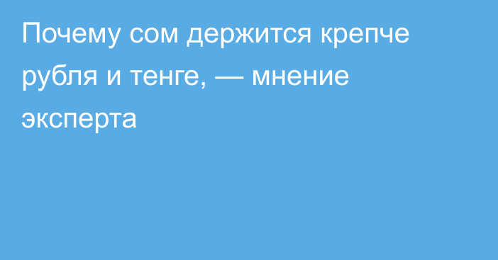 Почему сом держится крепче рубля и тенге, — мнение эксперта