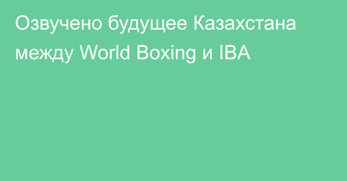 Озвучено будущее Казахстана между World Boxing и IBA