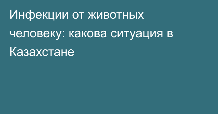 Инфекции от животных человеку: какова ситуация в Казахстане