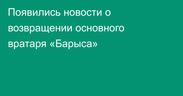 Появились новости о возвращении основного вратаря «Барыса»