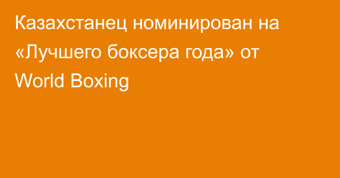 Казахстанец номинирован на «Лучшего боксера года» от World Boxing