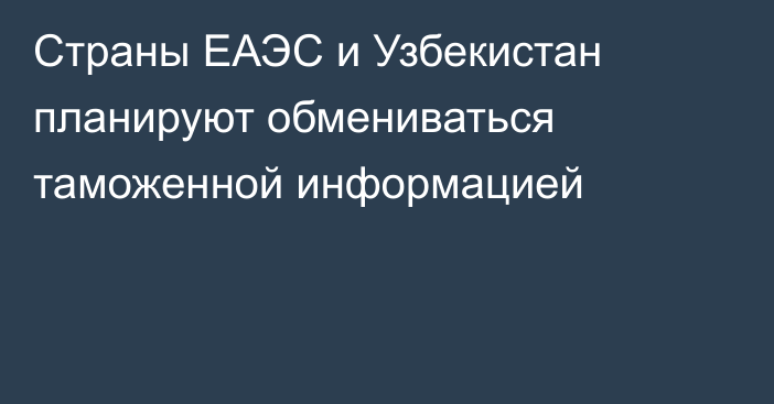 Страны ЕАЭС и Узбекистан планируют обмениваться таможенной информацией