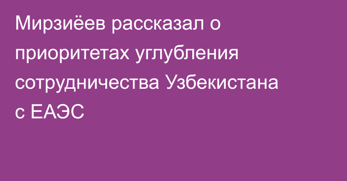 Мирзиёев рассказал о приоритетах углубления сотрудничества Узбекистана с ЕАЭС