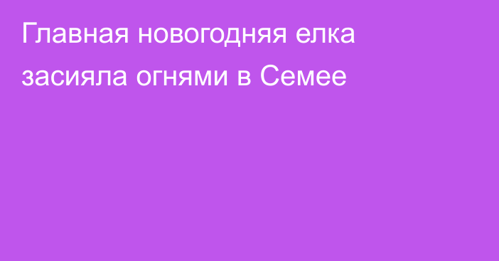 Главная новогодняя елка засияла огнями в Семее