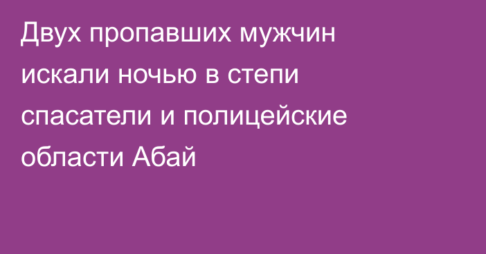 Двух пропавших мужчин искали ночью в степи спасатели и полицейские области Абай
