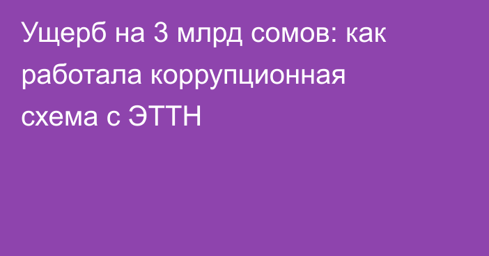 Ущерб на 3 млрд сомов: как работала коррупционная схема с ЭТТН